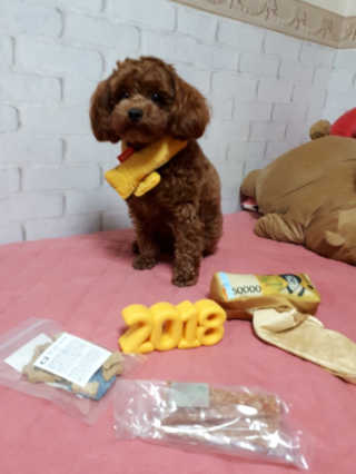 nowon5725님이 올린 리뷰 사진 1