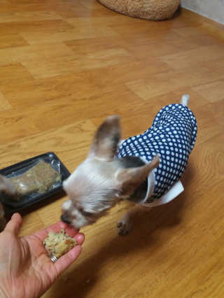 쪼꼬사랑이언니님이 올린 리뷰 사진 1