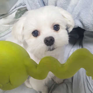 아롱님이 올린 리뷰 사진 3