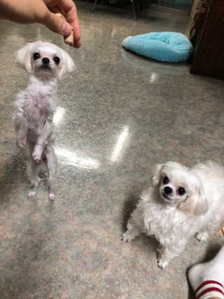 muy0214님이 올린 리뷰 사진 2