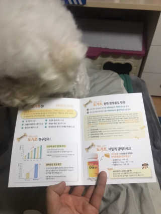 갱스님이 올린 리뷰 사진 2