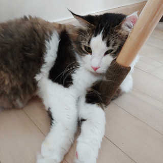 Sora님이 올린 리뷰 사진 1