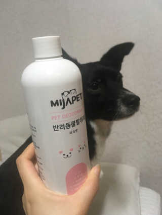 k180672님이 올린 리뷰 사진 1