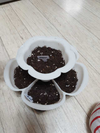 ddolmom님이 올린 리뷰 사진 1