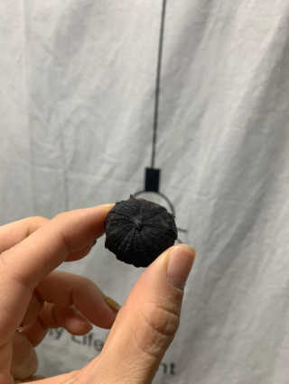 KellyChoi님이 올린 리뷰 사진 2