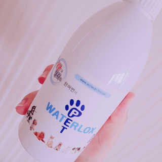 베짱이엄마님이 올린 리뷰 사진 3