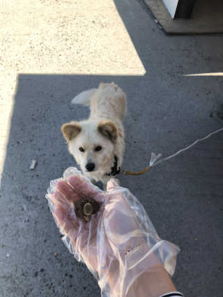 윤혜진님이 올린 리뷰 사진 3