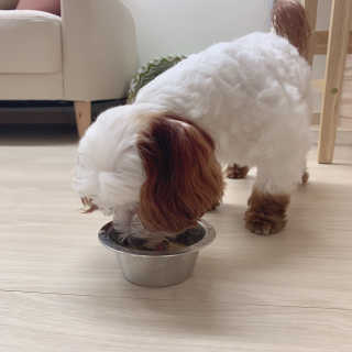 챔미님이 올린 리뷰 사진 2