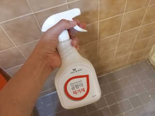 jin2님이 올린 리뷰 사진 4