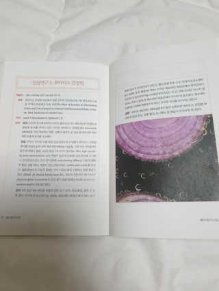 보리엄마님이 올린 리뷰 사진 3