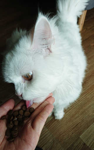 HanbyeolSimonOh님이 올린 리뷰 사진 2