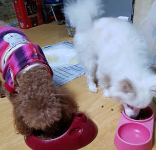 밍크찡님이 올린 리뷰 사진 2