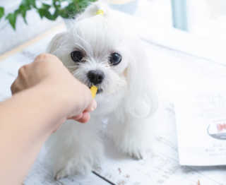 윤모디님이 올린 리뷰 사진 1