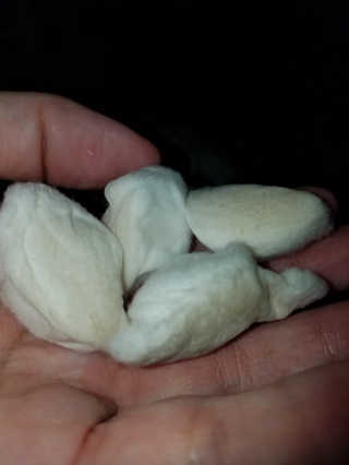 TrishaHuddleston님이 올린 리뷰 사진 3