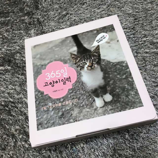 365일 고양이 일력(스프링) 리뷰 사진