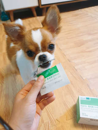 꼬몽쓰님이 올린 리뷰 사진 1