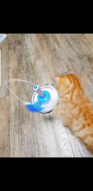 깜뽐님이 올린 리뷰 사진 3