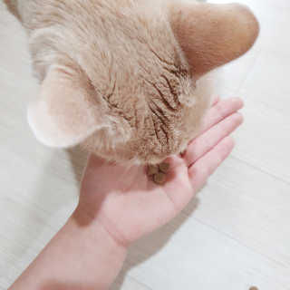 JENNY님이 올린 리뷰 사진 2