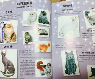 LeeSigyungLael님이 올린 리뷰 사진 3