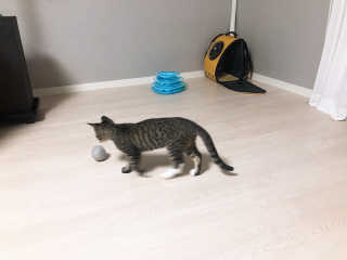 hi님이 올린 리뷰 사진 3