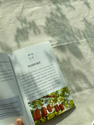 가나뷰덕님이 올린 리뷰 사진 3
