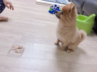 베베루님이 올린 리뷰 사진 3