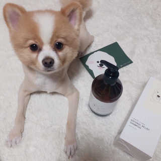 마카뇽님이 올린 리뷰 사진 3
