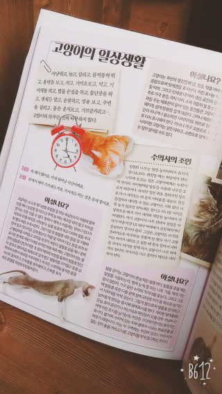 DaYeongGwon님이 올린 리뷰 사진 3