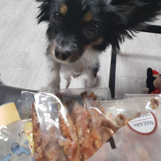 [펫토리아] 뚝딱뚝딱 400g 강아지 간식 베스트5종 — 5점을 준 리뷰어가 2019년 1월 올린 사용 사진