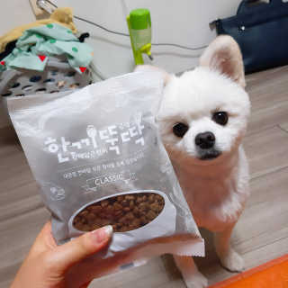 [펫토리아] 맛도 영양도 BEST 한끼뚝딱 강아지 사료 — 5점을 준 리뷰어가 2018년 12월 올린 사용 사진