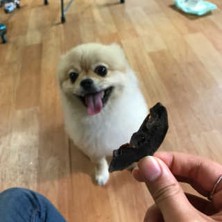 허은정님이 올린 리뷰 사진 3