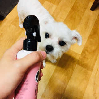 당근님이 올린 리뷰 사진 2