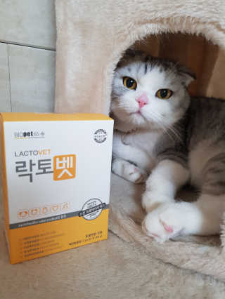 라니으니님이 올린 리뷰 사진 1