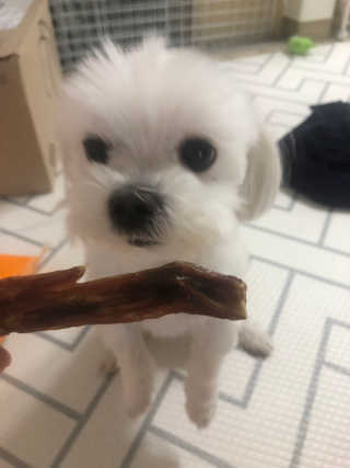 솜이공주님이 올린 리뷰 사진 3