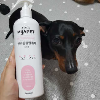 미자펫 반려동물탈취제 500ml — 5점을 준 리뷰어가 2018년 8월 올린 사용 사진