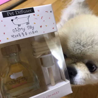 덕구리누나님이 올린 리뷰 사진 3