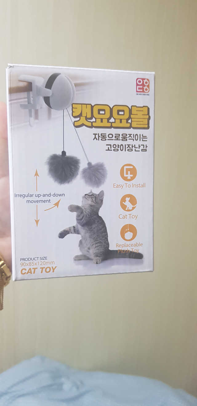 옥희독희 캣요요볼 리뷰 사진