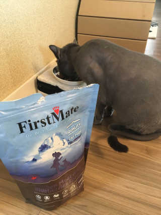[펫토리아] 퍼스트메이트 고양이 사료 — 5점을 준 리뷰어가 2019년 3월 올린 사용 사진