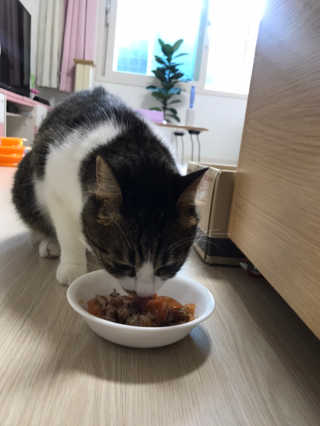 글라라5205님이 올린 리뷰 사진 1