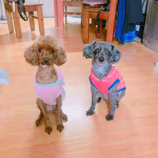 이수련님이 올린 리뷰 사진 1