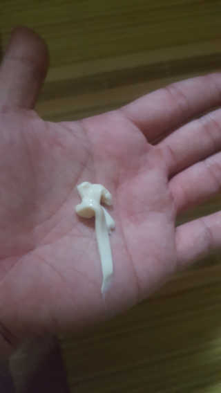 보크다님이 올린 리뷰 사진 3