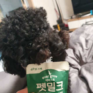 [빙그레] 에버그로 생유산균 1봉（10포입）+펫밀크2팩 — 5점을 준 리뷰어가 2019년 3월 올린 사용 사진