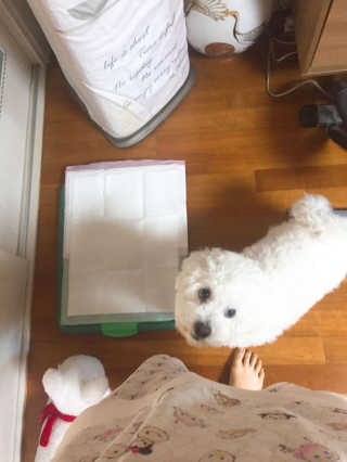 EmilyYu님이 올린 리뷰 사진 2