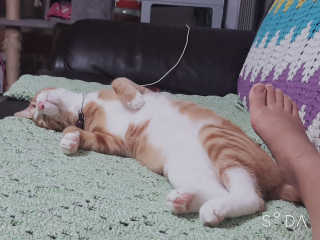 취향이님이 올린 리뷰 사진 3