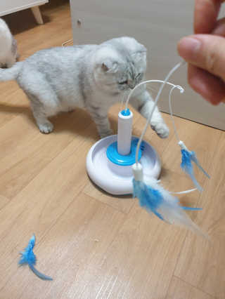 커요미님이 올린 리뷰 사진 1