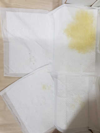조소민님이 올린 리뷰 사진 2