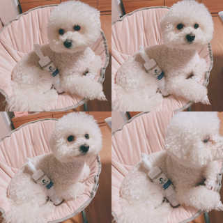 콜라맘마님이 올린 리뷰 사진 3