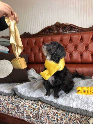 이소은님이 올린 리뷰 사진 1