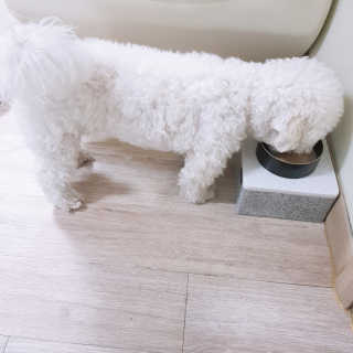 쩰리🐾님이 올린 리뷰 사진 4