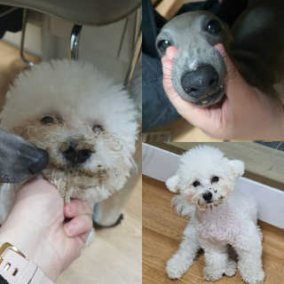 두부베리님이 올린 리뷰 사진 1